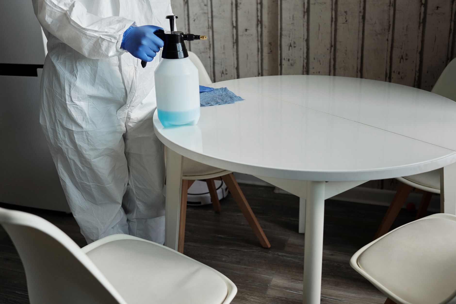 Ant & Roach Treatment – Selma